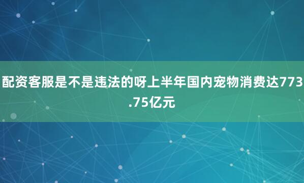 配资客服是不是违法的呀上半年国内宠物消费达773.75亿元