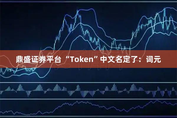 鼎盛证券平台 “Token”中文名定了：词元