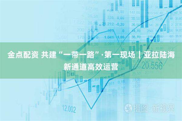 金点配资 共建“一带一路”·第一现场｜亚拉陆海新通道高效运营
